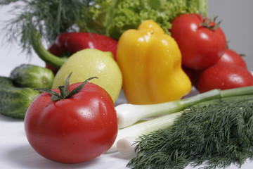 Fresh Vegetables, Fruits and other foodstuffs. 