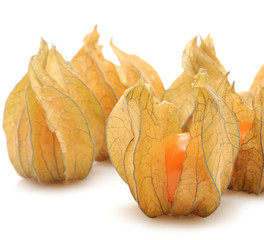 Physalis fruits on a white background