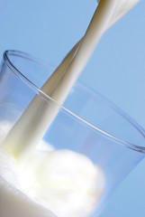 frische milch