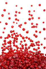 Frozen red berries falling