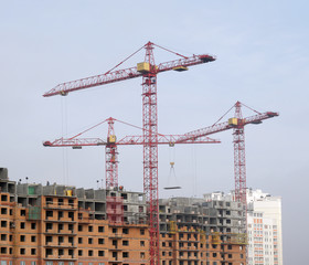 Fototapeta premium crane