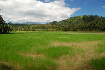 Fototapeta na wymiar Rural scene in the Philippines