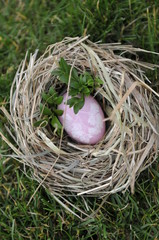Ein Osterei im Nest auf einer Wiese