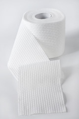 Roll of Toilet Paper