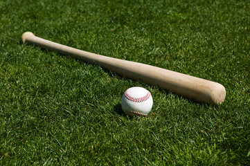 Baseball and Bat