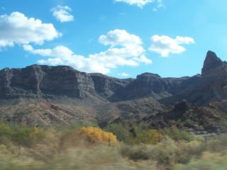 Desert landscape