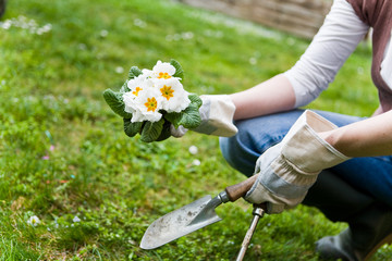 Jardinage à la maison