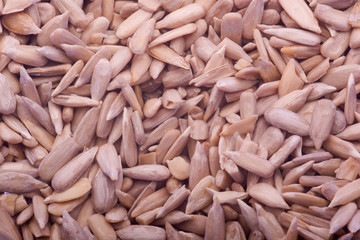 roasted sunflower seed kernel backgrond