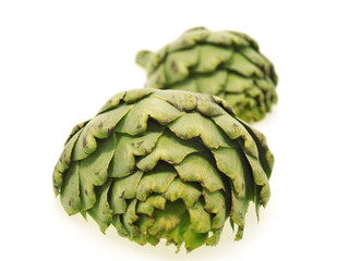 Obraz premium artischocken