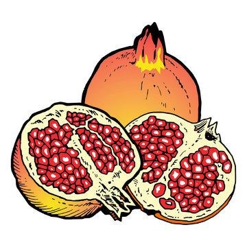 pomegranates, whole and cut, colorful clip art preview