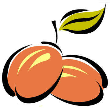 orange plums with green leaf clip art preview