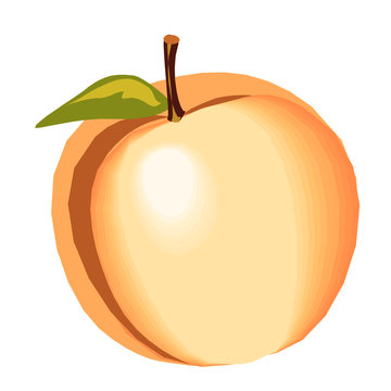 peach fruit with green leaf isolated clip art preview