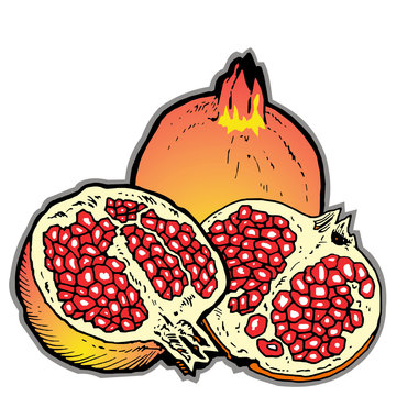 pomegranate fruit halves, whole, red seeds clip art preview