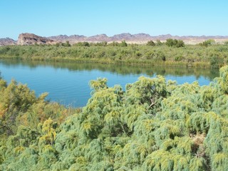 River View
