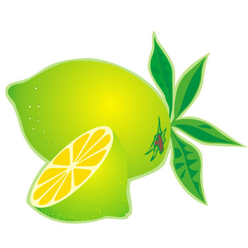 green limes with slice and leaves clip art preview