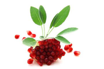 sage and pomegranate