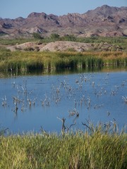 River View