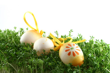 Fototapeta na wymiar easter eggs on cress