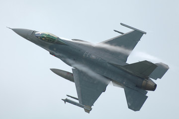 Fototapeta na wymiar F-16 Fighting Falcon