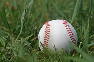 Lonely baseball in the grass