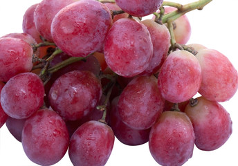red grape