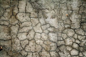 Grunge texture of old wall