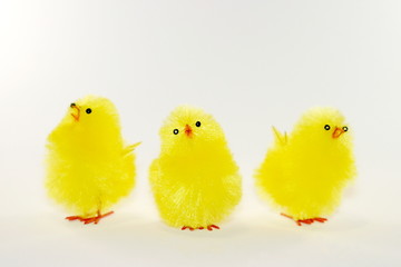 Chicks (6193)