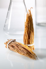 Ginseng