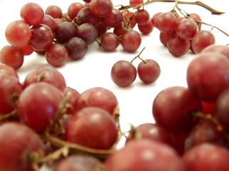 Red Grape Ring on White, Horizontal