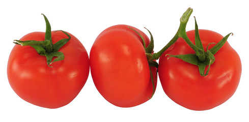 Three tomatoes