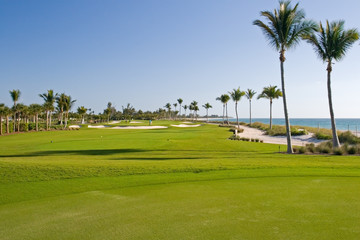 Golf Course - 6776611