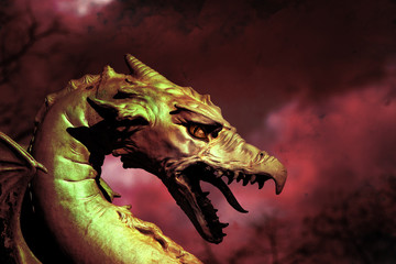 Illustration of a Dragon