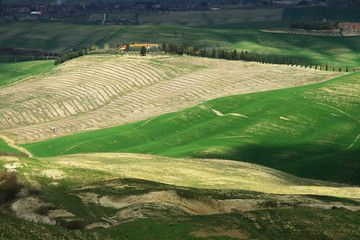 crete senesi all'inizio della primavera