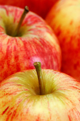 Royal Gala Apples