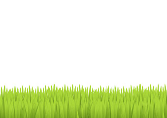 Vector green grass