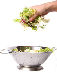 salad in hand