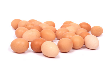 eggs