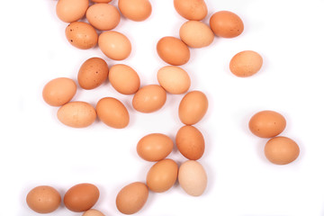 eggs