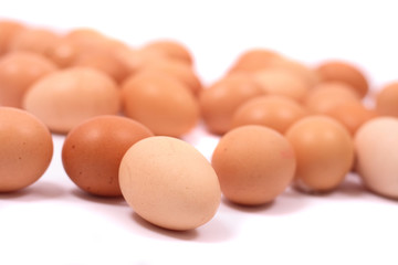 eggs