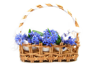 Fototapeta na wymiar Wattled basket with violets in egg shells