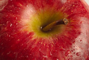 Close up red apple with droplets