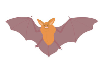 Fledermaus(www.fertig-unterricht.de)