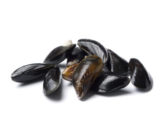 rohe miesmuscheln isoliert auf weiss