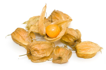 Physalis fruit isolated on white