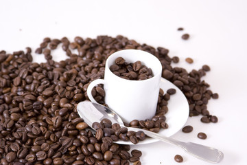 Graines de café