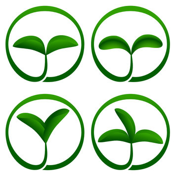Plant ecology icon. Vector-Illustration