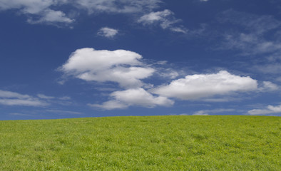 Fototapeta premium green field and clouds