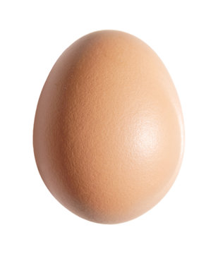 brown chicken egg isolated