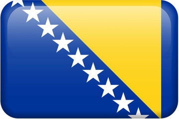 Bosnian Flag Button