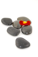 pétale de fleur zen